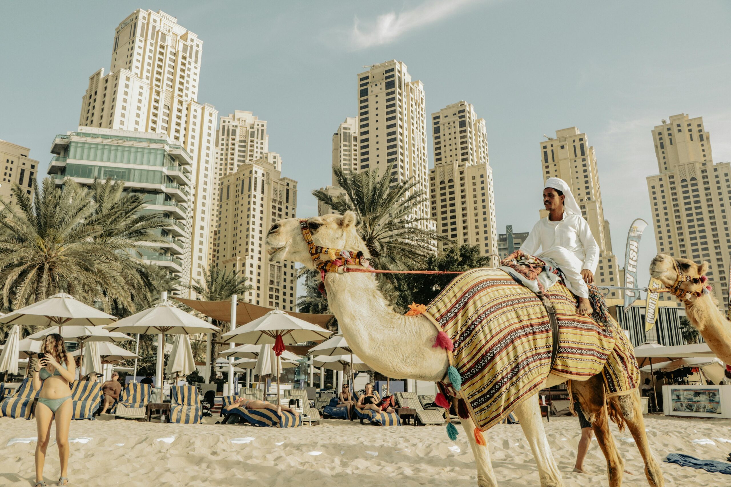 things to do in dubai