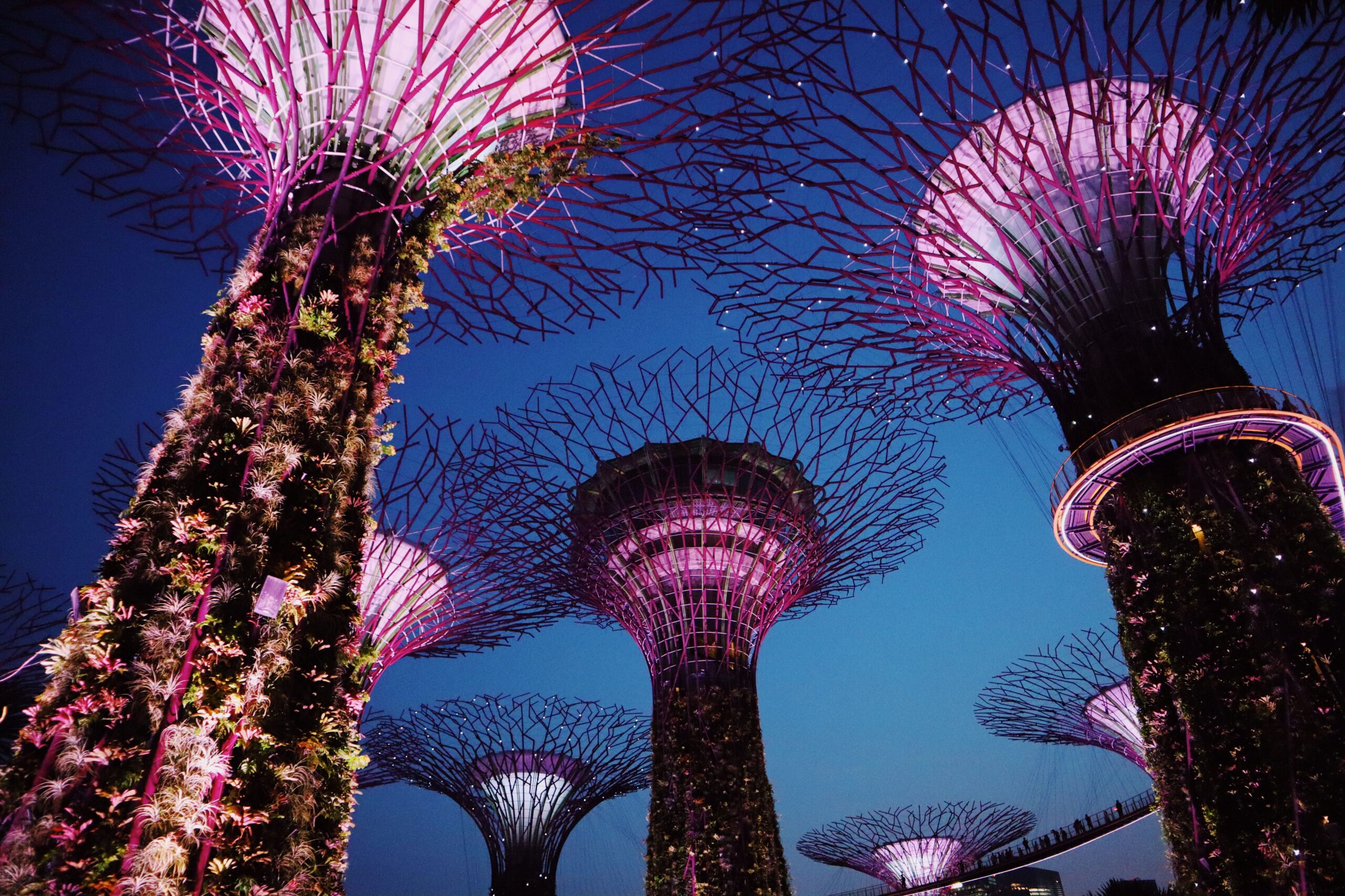things to do in singapore
