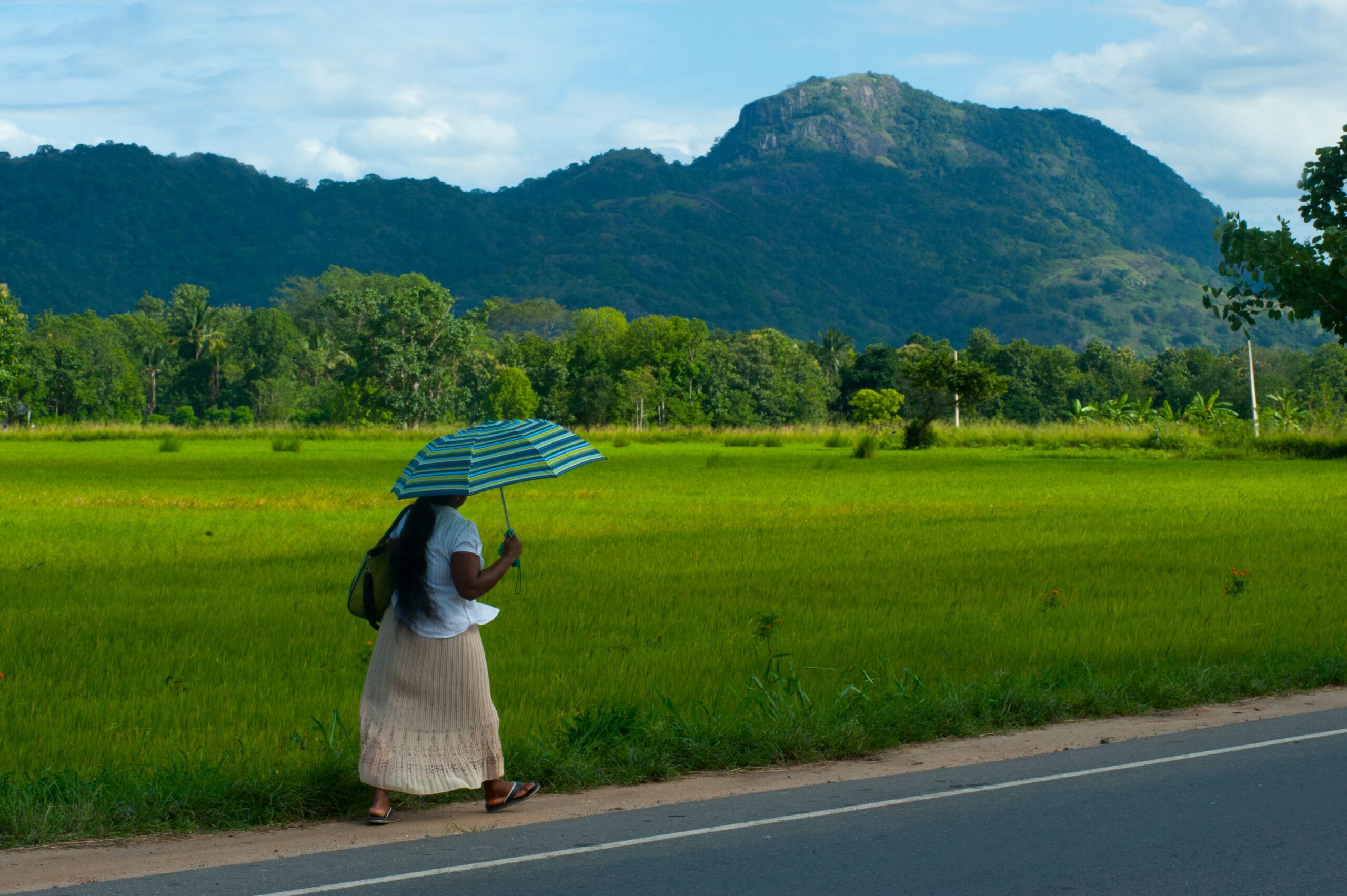 things to do in sri lanka