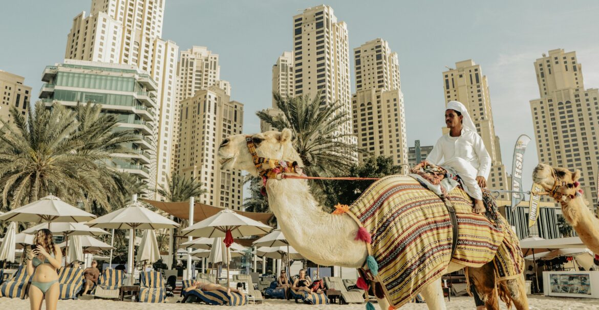 things to do in dubai